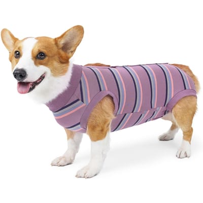 Hondenherstelpak Ademend Hondenoperatie Herstelpak Puppy Chirurgische Kleding voor Postoperatief XL gray