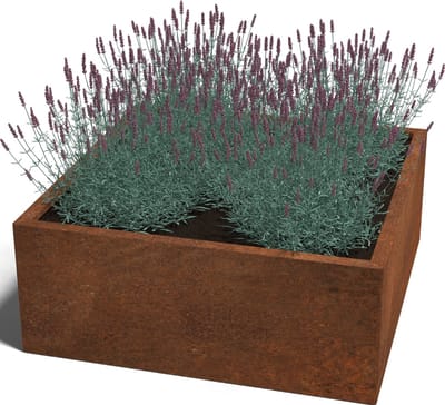 Cortenstaal plantenbak - Vierkant - 100x100x40cm - Roestkleur - Zonder bodem - MySteel