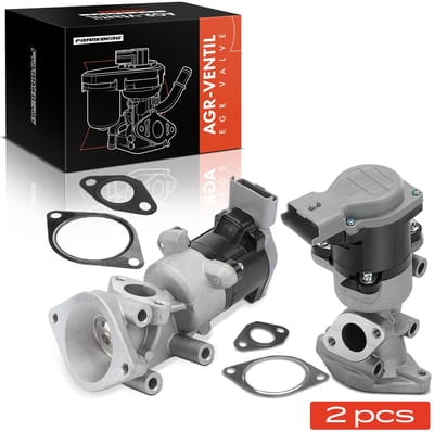 Frankberg 2x EGR-klep voor Land Rover Discovery Range Rover