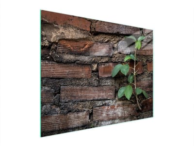 TMK ArtDeko - Snijplank - 52x40cm - Glas - Hittebestendig