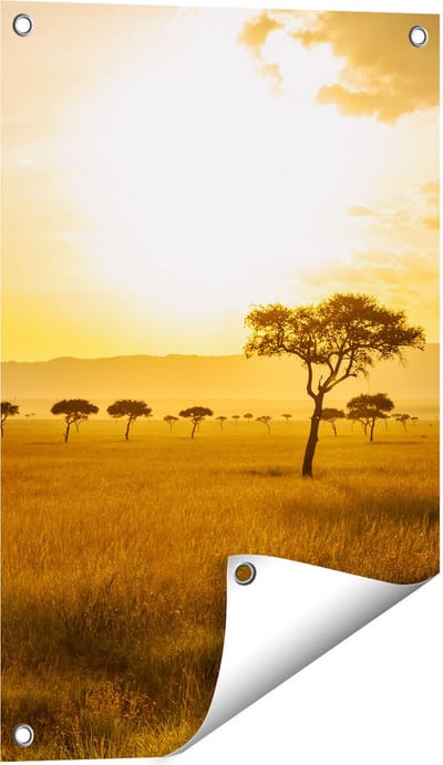 Gards Tuinposter Zonsondergang in de Savanne - 40x60 cm - Tuindoek - Tuindecoratie - Wanddecoratie buiten - Tuinschilderij