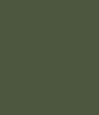 Carte Colori Calcare Kalkverf Salvia CC035 1 Liter
