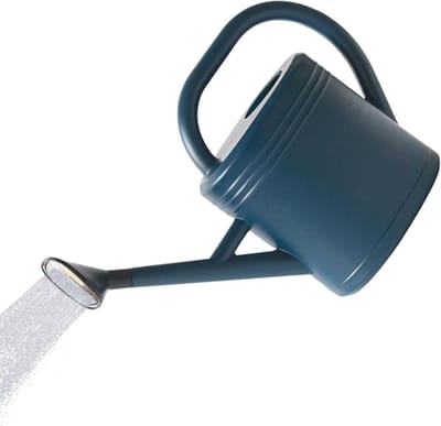 Gieter 3 Liter - Waterkan Planten - Binnen en Buiten - Afneembare Schenktuit - 15x29x15 cm - Blauw