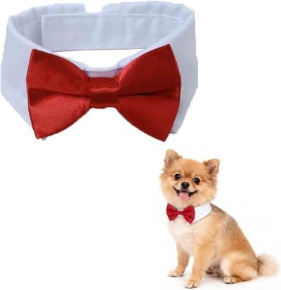 Verstelbare vlinderdas voor honden en katten, kostuumaccessoire met klittenbandsluiting in rood, ideaal voor feestjes en speciale gelegenheden