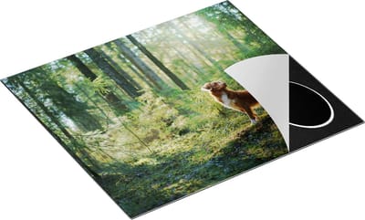 Chefcare Inductie Beschermer Retriever Hond in het Bos met Zon - 60x50 cm - Afdekplaat Inductie - Kookplaat Beschermer - Inductie Mat