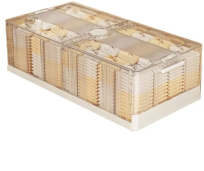 Opvouwbare bedbodem opbergdoos - Voor kleding, speelgoed of quilts - Extra groot, stofdicht en met rollers - Set van 2, kunststof transparant - Transparent Wit