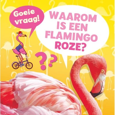 Waarom Is Een Flamingo Roze? - Goeie Vraag! - Nancy Dickmann