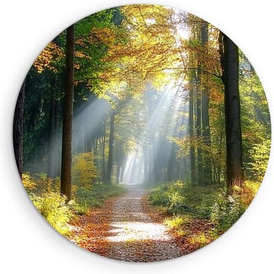 Saammp Muurcirkel Hout - Botanisch - Bospad - Herfstachtig - Landschap - Natuur - Ø 90 - Wandcirkel - Wanddecoratie Cirkel - Muurdecoratie Woonkamer - Slaapkamer decoratie - Rond Schilderij