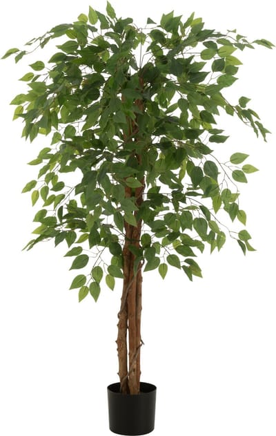 J-Line ficus in Pot - kunststof - lichtgroen