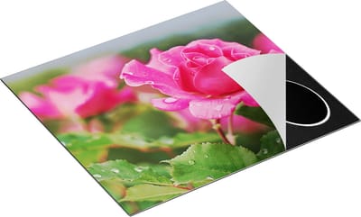 Chefcare Inductie Beschermer Roze Roos met Waterdruppels - 60x50 cm - Afdekplaat Inductie - Kookplaat Beschermer - Inductie Mat