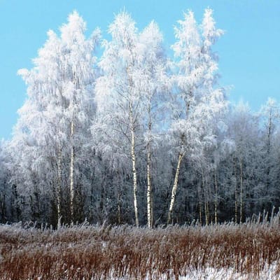 Diamant borduurwerk volledige weergave landschap berk winter sneeuw diamant schilderij landschap strass 30x30CM gray