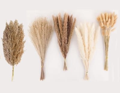 Dried Pampas Grass en Witte Konijnenstaart: 110 Stuks Gedroogde Bloemen voor Boho Tafeldecoratie, Bruiloften en Interieurstyling
