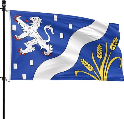 VlagDirect - Haarlemmermeer vlag - Gemeente Haarlemmermeer vlag - 90 x 150 cm.