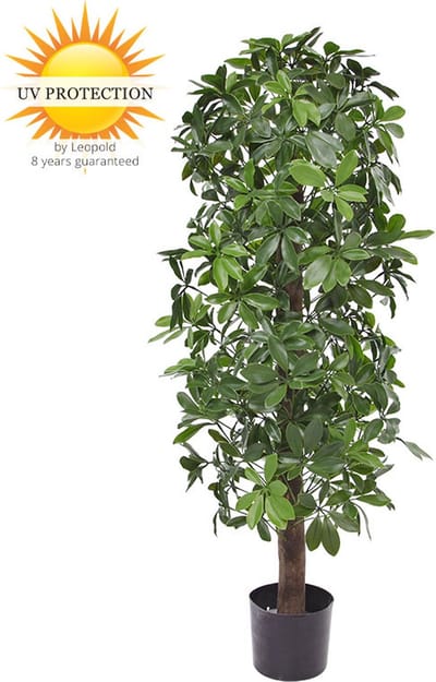Kunstboom Schefflera kolom 120cm UV