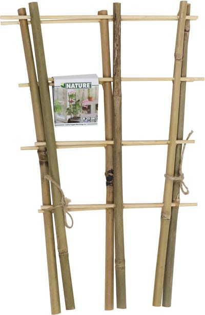 Driesprong collection - Bamboeplantrekje h35b18 cm s2st