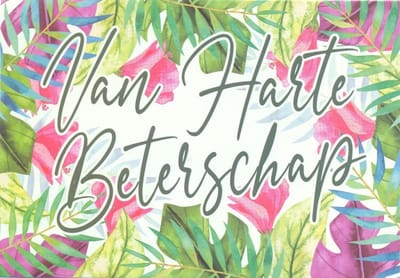 Wenskaart Van Harte Beterschap - D4299/82 - Gratis verzonden