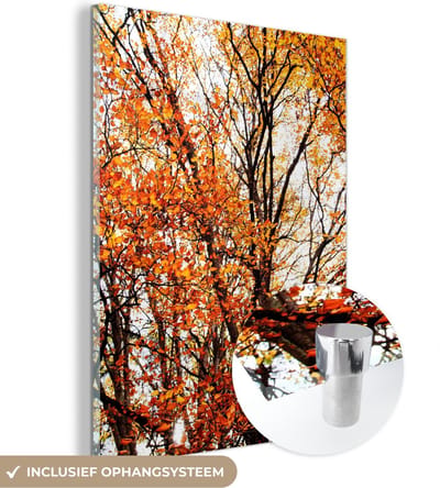 MuchoWow® Glasschilderij 30x40 cm - Schilderij acrylglas - Bos - Herfst - Seizoenen - Foto op glas - Schilderijen