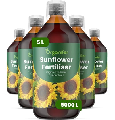 Vloeibare Meststof Voor Zonnebloem 5X1 L Voor 5000 L - Npk 3-4-3 - Ondersteunt Sterke - Rechtopstaande Groei - Verbetert Een Uniforme Knopvorming En Bloemgrootte - Voor Sierzonnebloemen En Zonnebloemen Voor Zaadproductie - Organifer