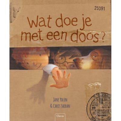 Kartonnen Doos
