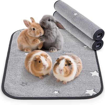 Dailygoods- Cavia Pads Lekvrij - Absorberend - Waterdicht - Fleece Onderlegger - Sterrenpatroon - Bescherming Tegen Kou - Dierenbed