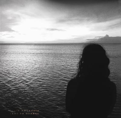 Scott Amendola - Fade To Orange (CD)