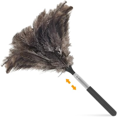 Dailygoods - Telescopische plumeau natuurlijke struisvogelveren, draagbare stofvanger, uittrekbaar tot 115 cm, herbruikbare reinigingsbenodigdheden voor hoge plafonds ramen stopcontacten meubels huishoudelijke