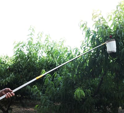 Fruitplukker Uitschuifbaar - Fruitverzamelaar Stok - Fruit Oogsten - Roestvrij Staal - Tot 10 Meter - Geel