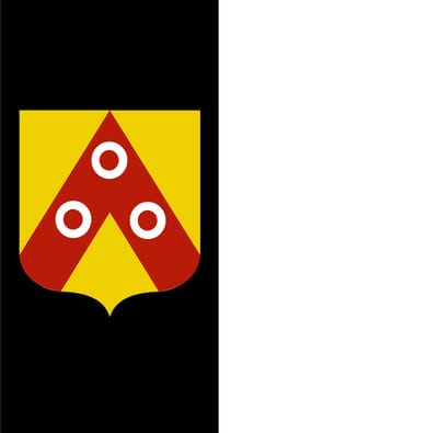 Vlag Anzegem 200x300cm