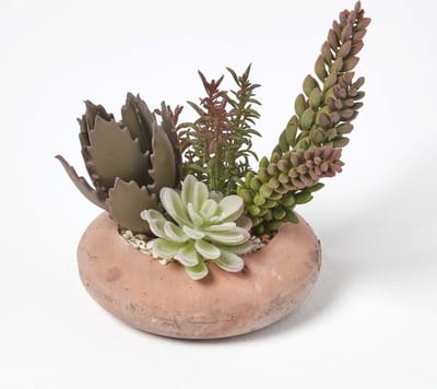 Homescapes Kunstmatig vetplantenarrangement in terracotta pot, 15 cm hoog