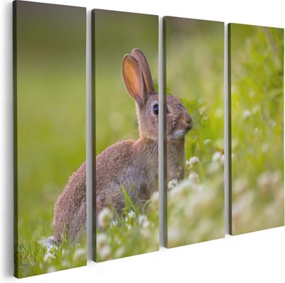 Artaza Canvas Schilderij Vierluik Konijn Tussen De Witte Bloemen - 80x60 - Foto Op Canvas - Canvas Print