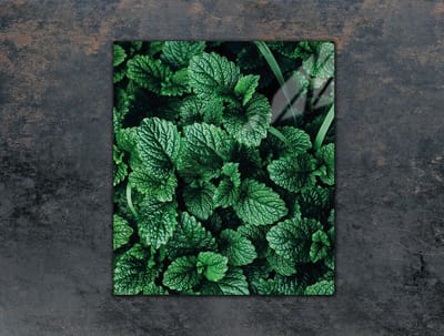 TMK ArtDeko Serie - Snijplank van Gehard Glas - 45x52 cm - Beschermende Keukenplaat