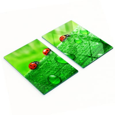 Keukenplanken van gehard glas met lieveheersbeestjesmotief, 2x40x52 cm