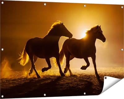 Gards Tuinposter Silhouet van Twee Paarden - 120x80 cm - Tuindoek - Tuindecoratie - Wanddecoratie buiten - Tuinschilderij