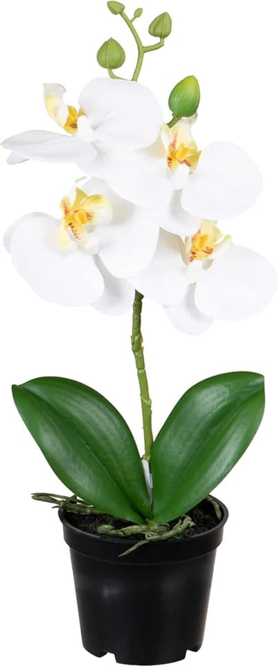 Louis Maes Orchidee bloemen kunstplant op plug - bloemen/bloemetjes - wit/groen - H33 cm - Kamer/kantoor/badkamer
