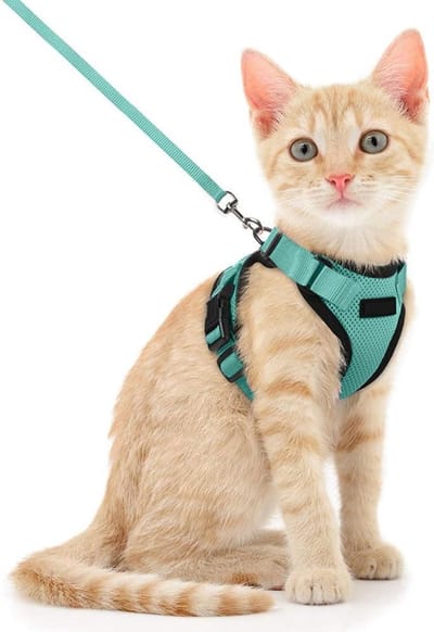 Dailygoods- Kattentuigje verstelbaar - Kattenriem 150 cm - Veiligheidsgordel - Kattenharnas - Voor volwassen katten - Robuust en duurzaam