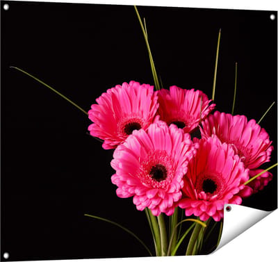 Gards Tuinposter Roze Gerbera Bloemen - 100x80 cm - Tuindoek - Tuindecoratie - Wanddecoratie buiten - Tuinschilderij