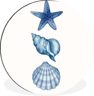 WallCircle - Wandcirkel - Muurcirkel - Zeester - Schelpen - Blauw - Aluminium - Dibond - 30x30 cm - Binnen en Buiten