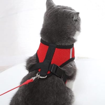 Narimano® Mesh Stof Puppy Hond Vest - Harnas Zacht Verstelbaar - Comfortabel| Huisdier- Lead Borst Wandelen Leash met Clip (Medium, Rood)
