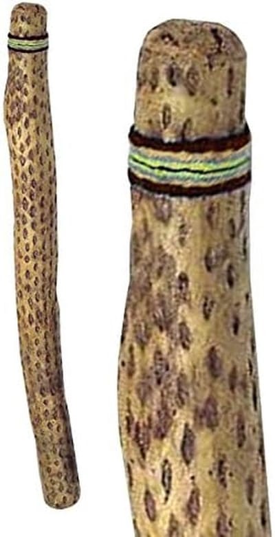 Grote Natuurlijke Regenstok (Rainmaker) van 100 cm - Authentiek Percussie-instrument
