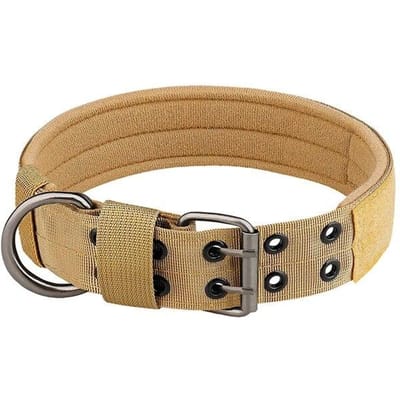 1 Stuk Medium Nylon Hondenband Verstelbaar En Duurzaam Geschikt Voor Kleine Middelgrote Honden Huisdierbenodigdheden