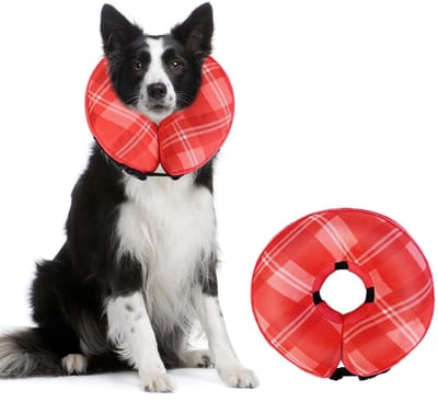 Allecto - Opblaasbare Halsband voor Honden en Katten - Zachte Kraag - Rood - Verstelbare Halsband - Voor Comfortabel Spelen en Slapen