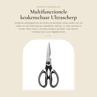 Dailygoods- Keukenschaar Roestvrij Staal - Multifunctioneel - Ergonomisch Ontwerp - Ultrascherpe Messen - Geschikt voor Vlees/Vis/Groenten - Handig voor Koken - Huishoudschaar