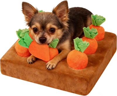 Honden Voedingsmat - Snuffel Tapijt - Mentale Stimulatie - 9 Wortels Ontwerp