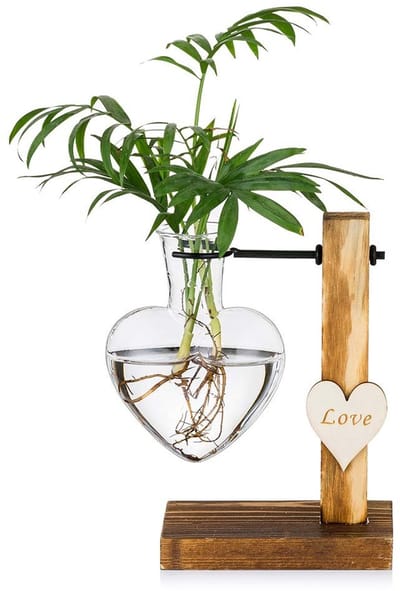 Dailygoods- Plantenvaas Glazen - Houten Standaard - Creatieve Hydrocultuurvaas - Modern Plantenkweekstation - Kantoordecoratie - Voor Binnen/Buiten - Bloempot