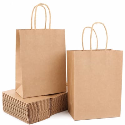 Dailygoods - LDXDRU 150 Stuks Papieren Tasjes, Kraft Zakjes 15 x 8 x 21 cm, Bruine Draagtassen met Handvat voor Cadeau Verpakking Winkel Feest Traktatie Markt Dagelijks Gebruik
