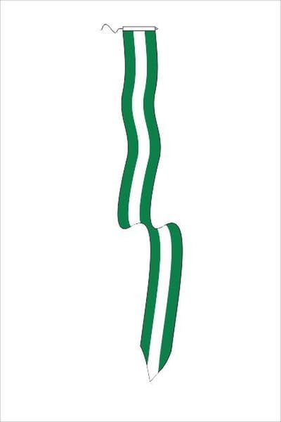 Wimpel Rotterdam 18x165cm met koord en lus