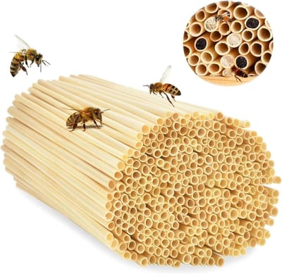 SnelShoppen - Wild Bee Nest Tubes 500 Stuks 14.5 cm Lange Insect Hotel Vulmateriaal van Natuurlijk Tarwegras Biologisch Afbreekbaar voor DIY Bijenhote