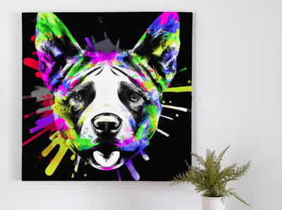 Rainbow canine burst | Rainbow Canine Burst | Kunst - 30x30 centimeter op Canvas | Foto op Canvas