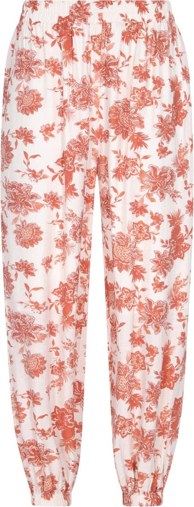 usha Broek