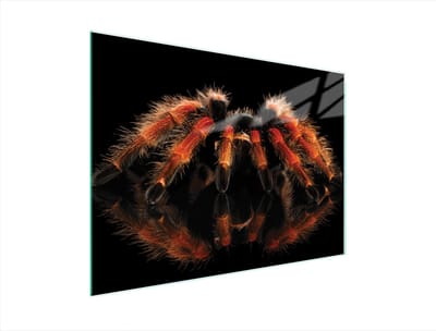 TMK ArtDeko - Snijplank - Gehard Glas - 40x30 cm - Antislip